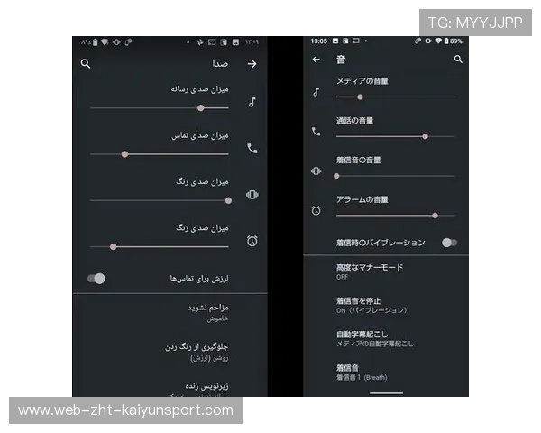 赛事官方APP增加多语种支持扩大国际影响，赛事服务平台